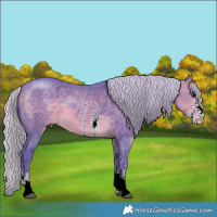 Horse Color:Watercolor Silver Buckskin Sabino 