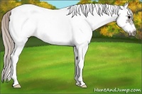 Horse Color:White Spotted Silver Black Frame 