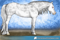 Horse Color:Silver Grullo Chinchilla Ice Splash 