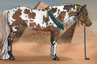 Horse Color:White Spotted Liver Chestnut 