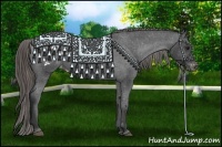 Horse Color:Smoky Black Appaloosa 