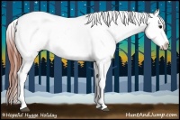 Horse Color:Brown Appaloosa