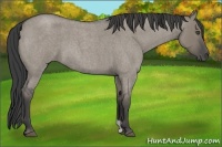 Horse Color:Smoky Grullo Roan 