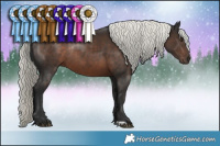 Horse Color:Liver Chestnut Mushroom Rabicano 