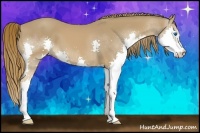 Horse Color:Chestnut Splash 