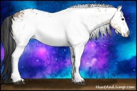 Horse Color:White Spotted Bay Ice