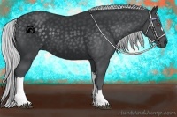 Horse Color:Silver Black Chinchilla