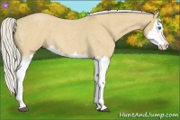 Horse Color:Silver Buckskin Roan Splash 