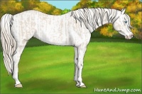 Horse Color:Smoky Creme Sabino  and Smoky Creme Sabino 