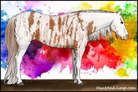 Horse Color:Bay Splash Tobiano Varnish  Brindle
