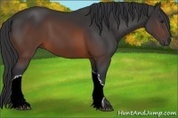Horse Color:Brown 