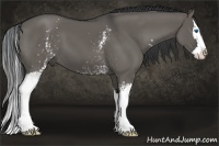 Horse Color:White Spotted Grullo Splash 
