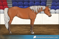 Horse Color:Silver Bay 