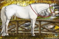 Horse Color:Liver Red Dun Pearl Snowcap 