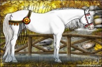 Horse Color:Chocolate Palomino Pearl Appaloosa