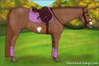 Horse Color:Chestnut Splash Frame  Brindle
