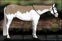 Horse Color:Classic Champagne Splash