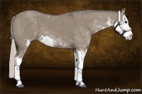 Horse Color:Silver Grullo Sabino Splash
