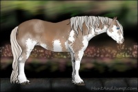 Horse Color:Silver Brown Splash 