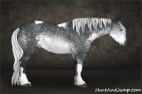 Horse Color:Silver Buckskin Chinchilla Tobiano