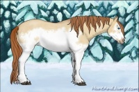 Horse Color:Red Dun Roan Splash Frame Rabicano 