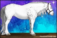 Horse Color:White Spotted Liver Chestnut 