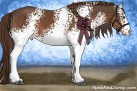 Horse Color:White Spotted Liver Chestnut 