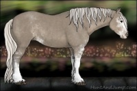 Horse Color:Silver Smoky Grullo Sabino 