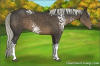 Horse Color:White Spotted Liver Chestnut 