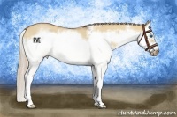 Horse Color:Red Dun Roan Splash Frame Rabicano 