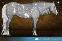 Horse Color:White Spotted Silver Grullo Chinchilla 