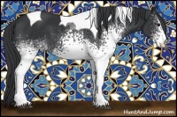 Horse Color:White Spotted Black Tobiano 
