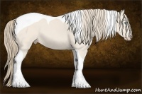 Horse Color:Perlino Tobiano