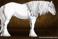 Horse Color:Palomino Pearl Tobiano Appaloosa Rabicano 