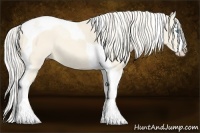 Horse Color:Cremello Splash Tobiano