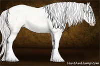 Horse Color:Cremello Dun Tobiano