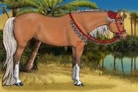 Horse Color:Silver Bay 