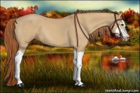 Horse Color:Red Dun Roan Splash Frame Rabicano 