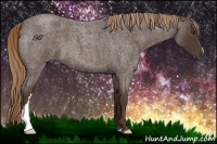 Horse Color:Liver Red Roan 
