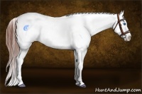 Horse Color:White Spotted Bay Dun Splash Frame Appaloosa