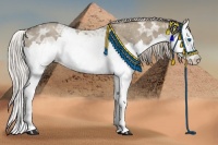 Horse Color:Silver Grullo Ice Splash 