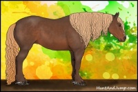 Horse Color:Liver Chestnut Sabino Rabicano