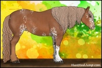 Horse Color:White Spotted Chestnut Rabicano 