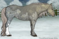 Horse Color:Silver Black Ice Rabicano