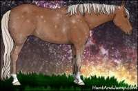 Horse Color:Silver Bay