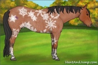 Horse Color:Bay Ice Roan 