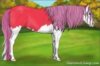 Horse Color:Watercolor Liver Chestnut Splash