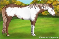 Horse Color:Chestnut Frame