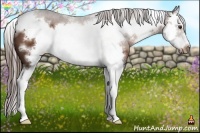 Horse Color:White Spotted Liver Chestnut Sabino Splash Frame 