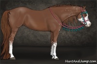 Horse Color:Chestnut Sabino 